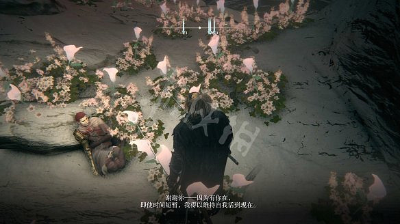 《艾爾登法環》女武神的義手在哪裡?純淨金針及女武神的義手收集 《艾爾登法環》女武神的義手在哪裡?純淨金針及女武神的義手收集