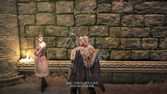 《艾爾登法環》女武神的義手在哪裡?純淨金針及女武神的義手收集 《艾爾登法環》女武神的義手在哪裡?純淨金針及女武神的義手收集