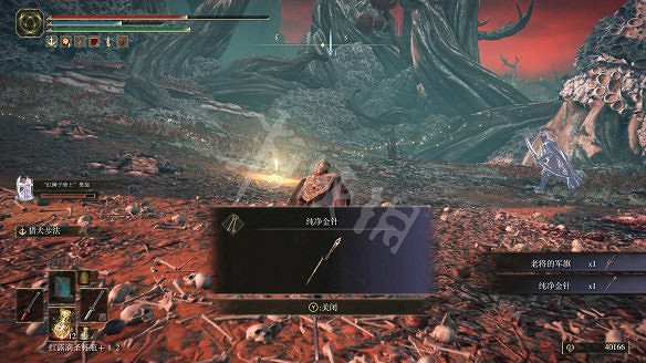 《艾爾登法環》女武神的義手在哪裡?純淨金針及女武神的義手收集 《艾爾登法環》女武神的義手在哪裡?純淨金針及女武神的義手收集