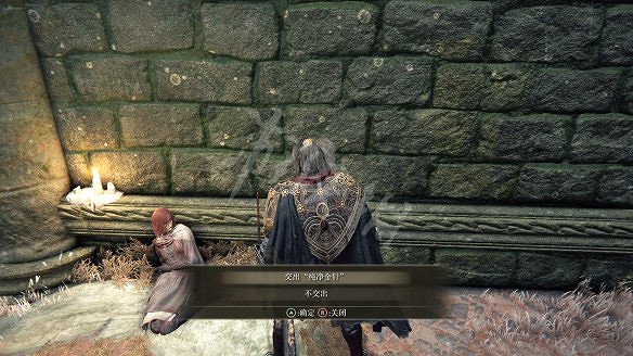 《艾爾登法環》女武神的義手在哪裡?純淨金針及女武神的義手收集 《艾爾登法環》女武神的義手在哪裡?純淨金針及女武神的義手收集