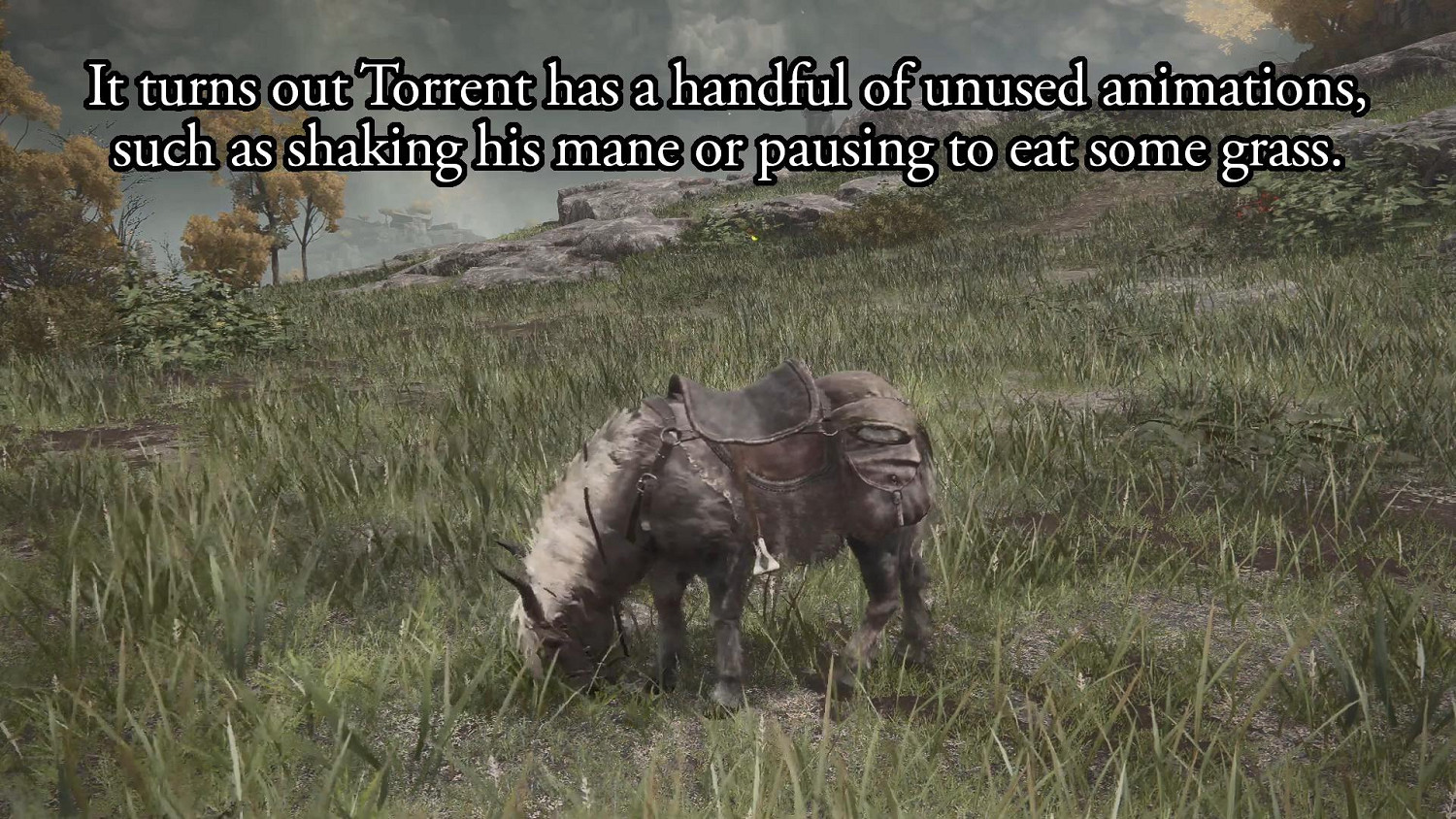 玩家發現《艾爾登法環》靈馬托雷特廢棄動作 可吃草甚至踹人攻擊 玩家發現《艾爾登法環》靈馬托雷特廢棄動作 可吃草甚至踹人攻擊