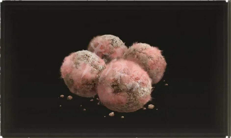 《艾爾登法環》苔藥類道具如何製作？苔藥類道具製作方法分享