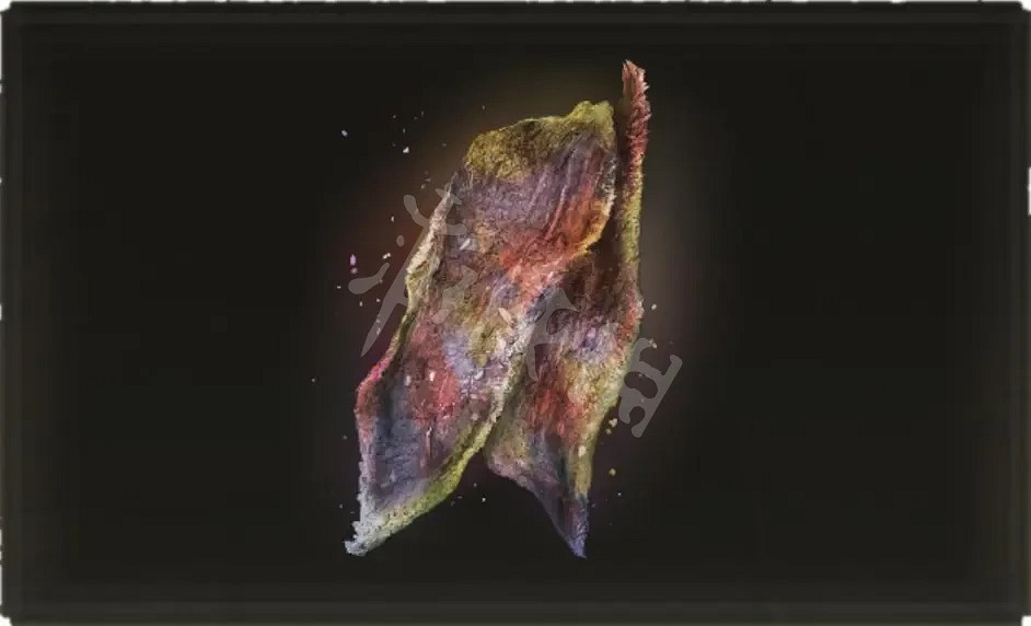 《艾爾登法環》肉乾類道具如何獲得？肉乾類道具獲取方法分享