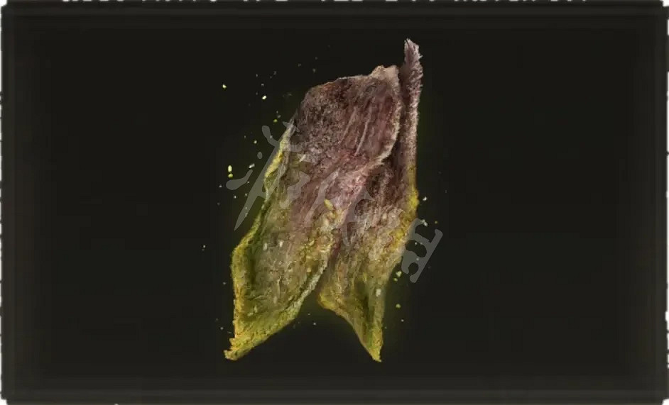 《艾爾登法環》肉乾類道具如何獲得？肉乾類道具獲取方法分享