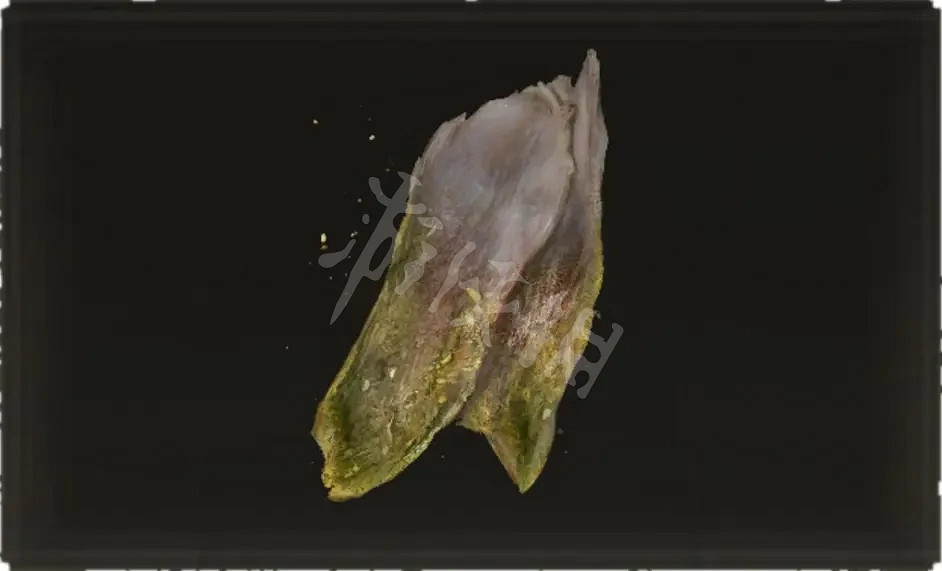 《艾爾登法環》肉乾類道具如何獲得？肉乾類道具獲取方法分享