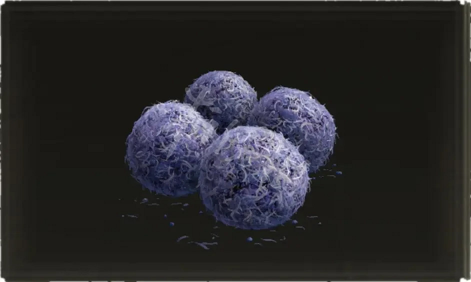 《艾爾登法環》苔藥類道具如何製作？苔藥類道具製作方法分享