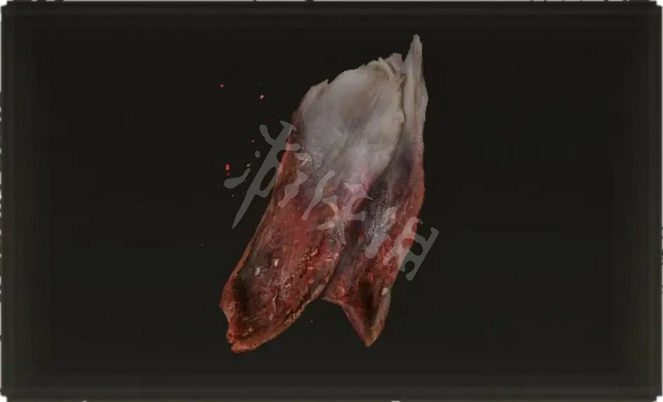 《艾爾登法環》肉乾類道具如何獲得？肉乾類道具獲取方法分享