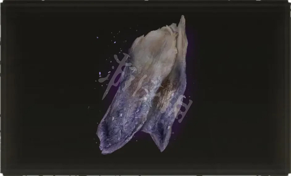 《艾爾登法環》肉乾類道具如何獲得？肉乾類道具獲取方法分享