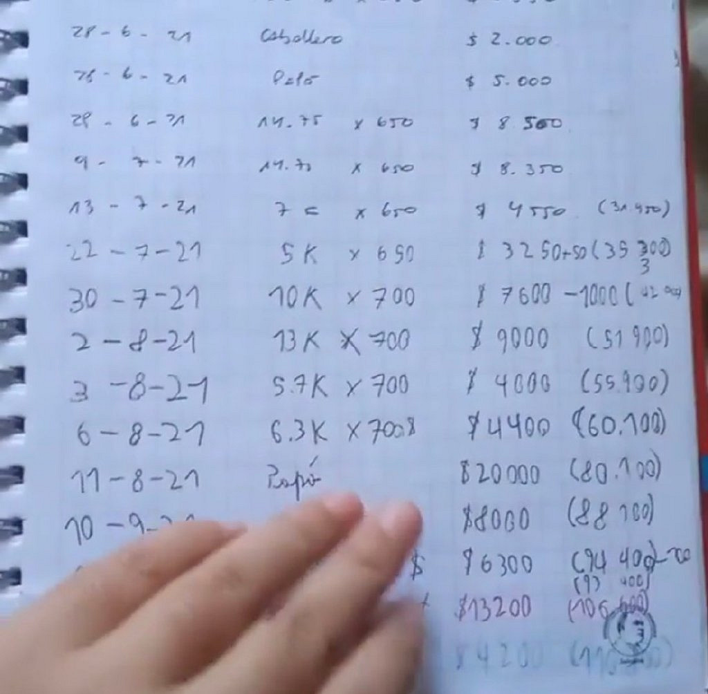 智利男孩太想玩Switch和塞爾達 撿了近500公斤空罐賣錢 智利男孩太想玩Switch和塞爾達 撿了近500公斤空罐賣錢