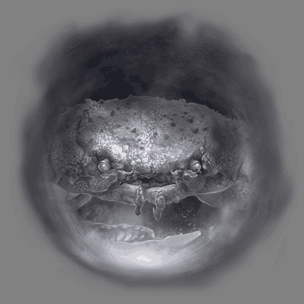 玩家挖掘出《艾爾登法環》遊戲角色圖鑒：曾有獸人