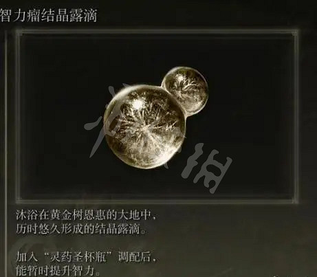 《艾爾登法環》利耶尼亞有多少露滴?利耶尼亞湖區域露滴收集方法推薦 《艾爾登法環》利耶尼亞有多少露滴?利耶尼亞湖區域露滴收集方法推薦