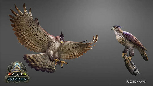 《方舟:生存進化》新生物圖譜“峽灣鷹”公開! 《方舟:生存進化》新生物圖譜“峽灣鷹”公開!