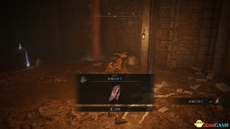 《艾爾登法環》王城羅德爾攻略地圖指引 王城下水道走法攻略 《艾爾登法環》王城羅德爾攻略地圖指引 王城下水道走法攻略