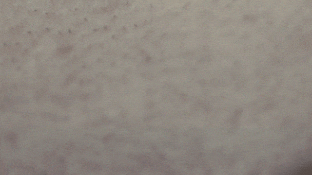 《最終幻想7：重製版》愛麗絲4K清涼mod 細節爆炸