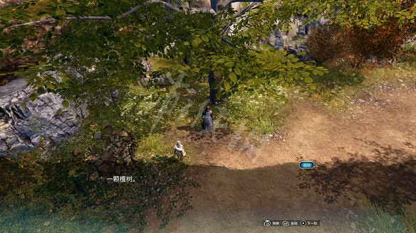 《天命奇御二》貓奴情緣任務怎麽做?貓奴情緣任務收集攻略 《天命奇御二》貓奴情緣任務怎麽做?貓奴情緣任務收集攻略