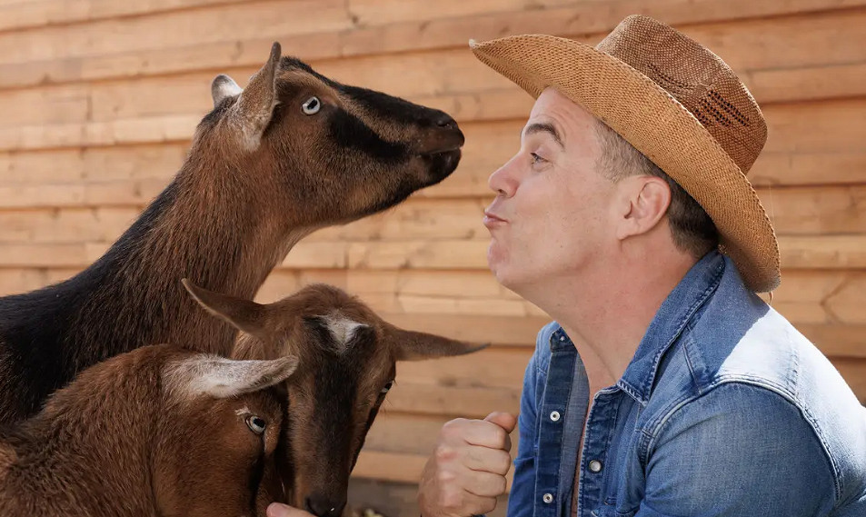 經典名作《模擬山羊》將製作音樂片電影 導演已在羊圈取材中