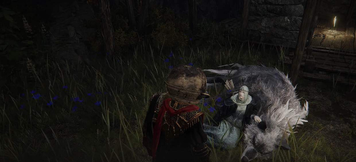 《艾爾登法環》彩蛋！“白金之子勒緹娜”竟可馴化野狼