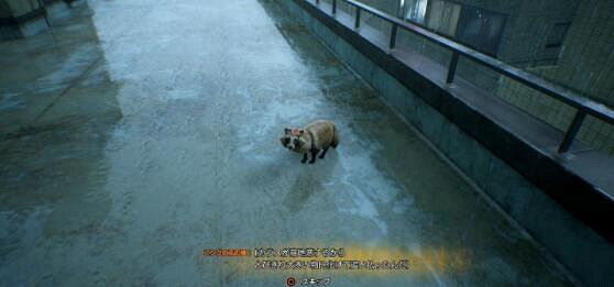 有趣!《幽靈線:東京》Fami通評測:一同拯救東京吧! 有趣!《幽靈線:東京》Fami通評測:一同拯救東京吧!