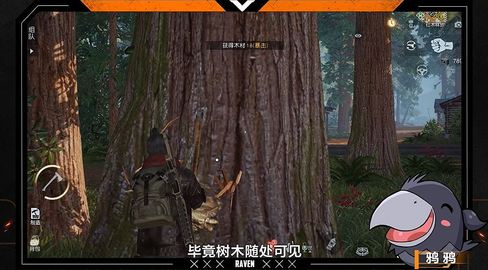 《黎明覺醒》紅木森林樹木資源 木材資源獲取點介紹 《黎明覺醒》紅木森林樹木資源 木材資源獲取點介紹