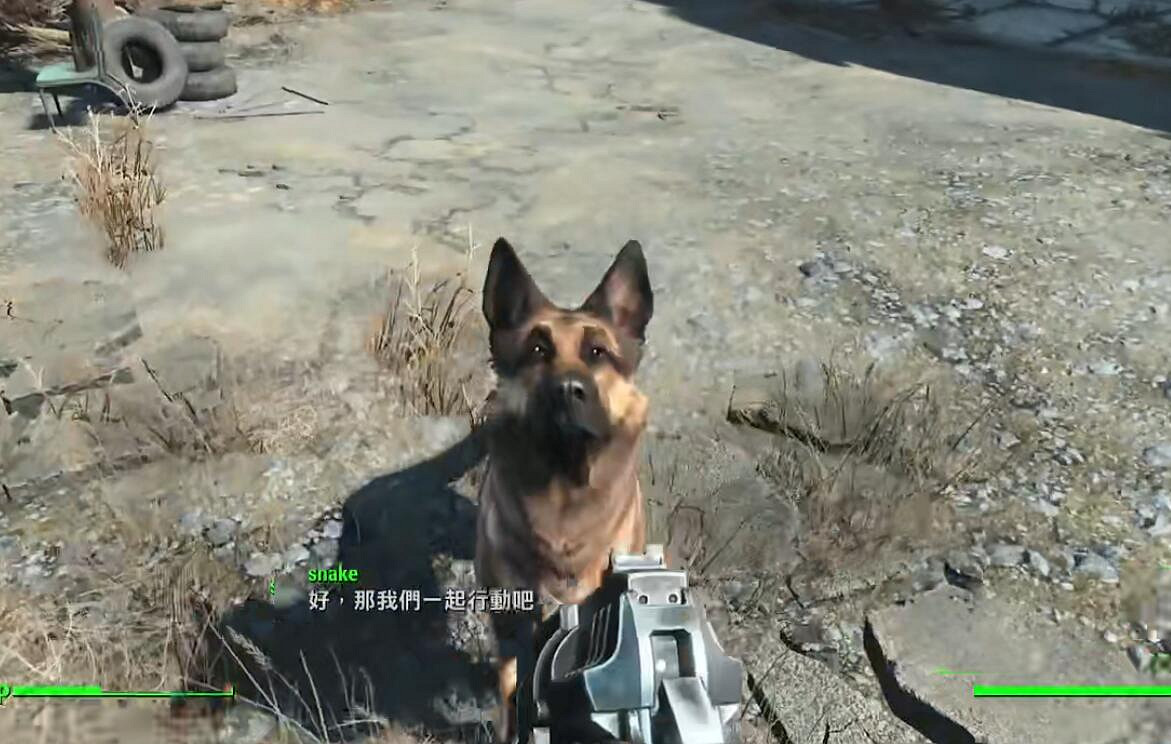 那些令人印象深刻的隊友NPC