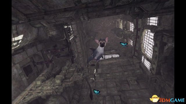 PSVR版《最後的守護者》5分鐘第一人稱影片展示 PSVR版《最後的守護者》5分鐘第一人稱影片展示