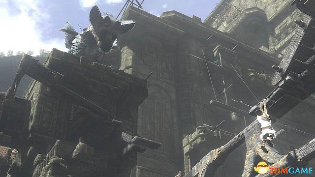 最後的守護者全要素收集影片攻略