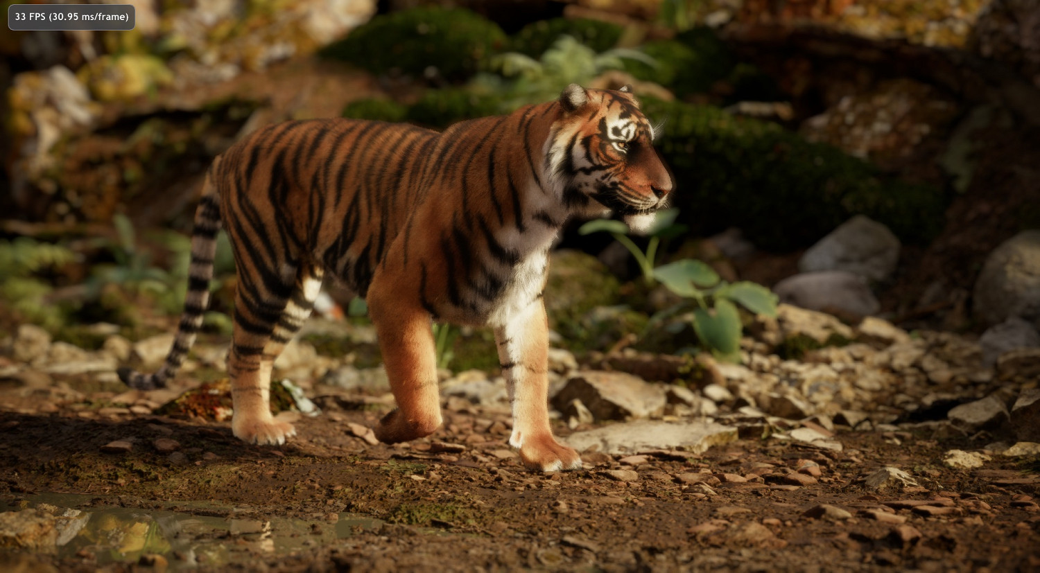 比光追還強?輝達稱路徑追蹤是最真實的渲染途徑! 比光追還強?輝達稱路徑追蹤是最真實的渲染途徑!