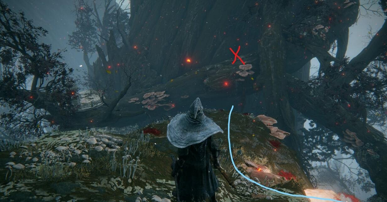 《艾爾登法環》失力戰灰怎麽獲得？失力戰灰獲得方法匯總