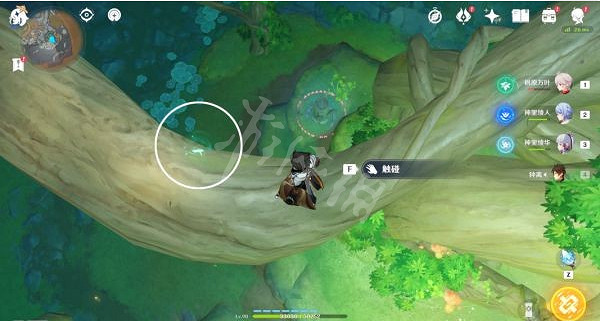 《原神》生命之谷的居民成就怎麽做？2.6生命之谷的居民成就攻略分享