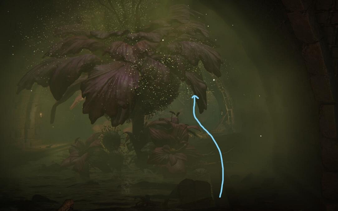 《艾爾登法環》失力戰灰怎麽獲得？失力戰灰獲得方法匯總