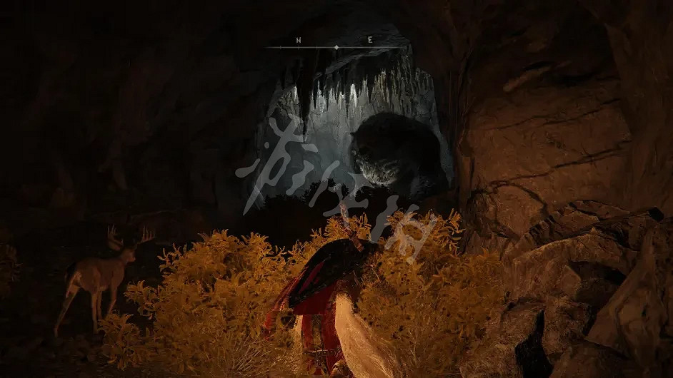 《艾爾登法環》盧恩熊有哪些招式？盧恩熊具體招式解析