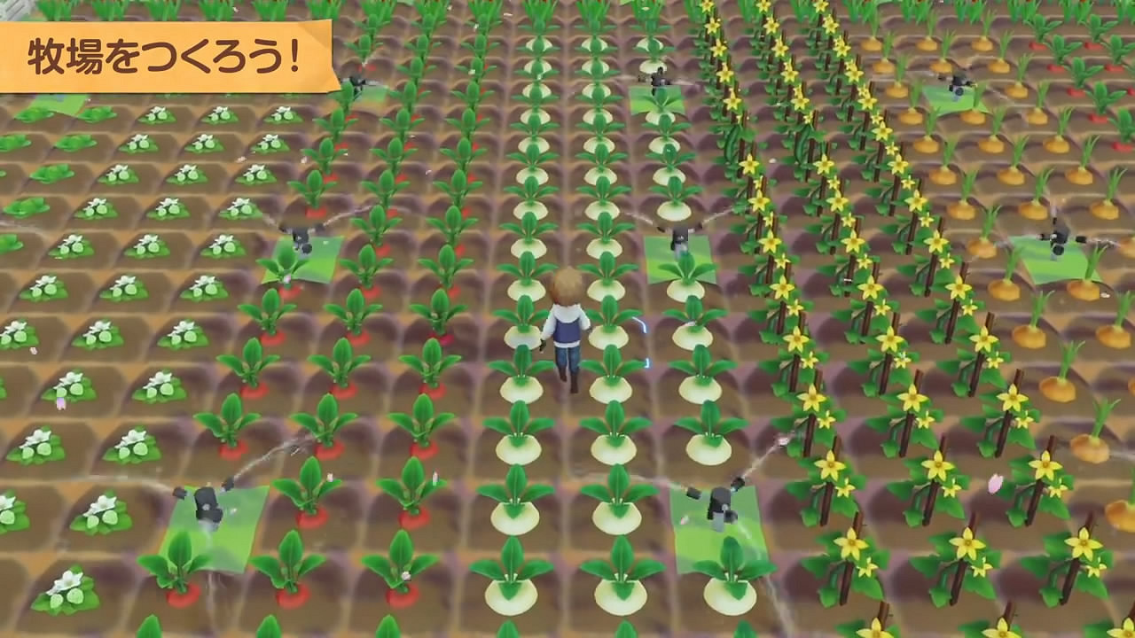 PS4《牧場物語：橄欖鎮特別版》發售日期公布!預告賞