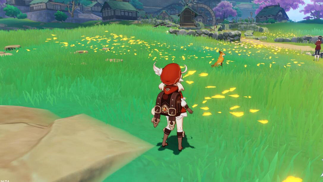 《原神》四張稻妻動物圖片在哪拍？堇庭華彩拍照第二天位置推薦