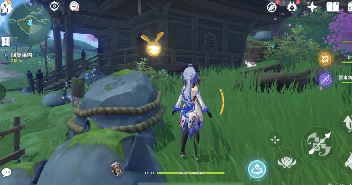 《原神》稻妻特色動物拍照位置一覽 稻妻特色動物在哪拍照？