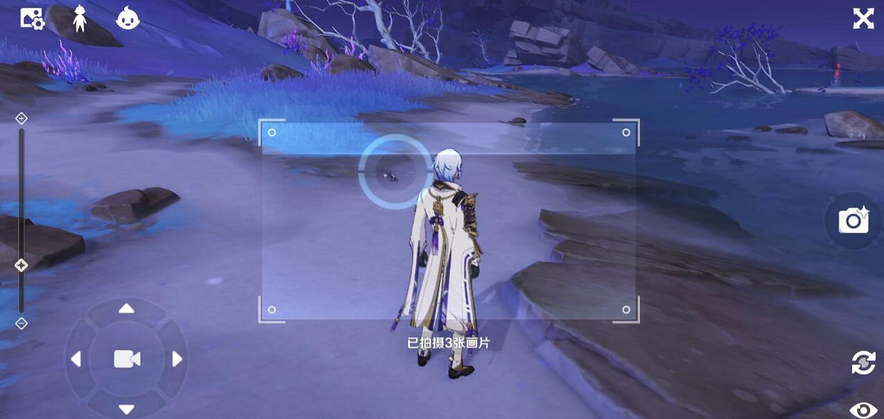 《原神》四張稻妻動物圖片在哪拍？堇庭華彩拍照第二天位置推薦