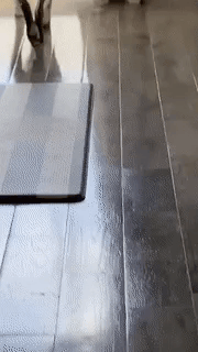 地鐵上穿成這樣不怕癡漢嗎 動圖 大爺說看妞使人愉悅