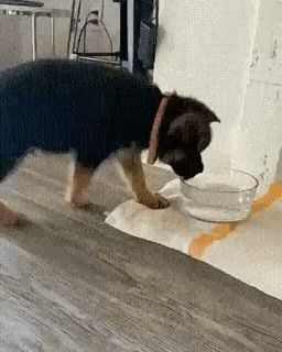 地鐵上穿成這樣不怕癡漢嗎 動圖 大爺說看妞使人愉悅