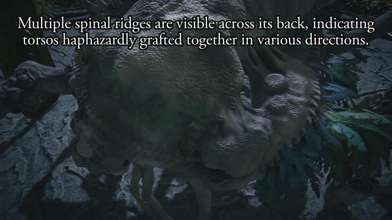 優秀的怪物設計《艾爾登法環》接肢貴族居然長這樣 優秀的怪物設計《艾爾登法環》接肢貴族居然長這樣