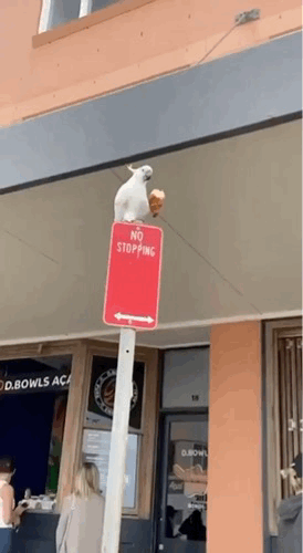 地鐵上穿成這樣不怕癡漢嗎 動圖 大爺說看妞使人愉悅