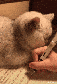 地鐵上穿成這樣不怕癡漢嗎 動圖 大爺說看妞使人愉悅