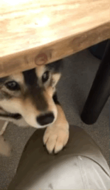 地鐵上穿成這樣不怕癡漢嗎 動圖 大爺說看妞使人愉悅