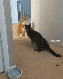 地鐵上穿成這樣不怕癡漢嗎 動圖 大爺說看妞使人愉悅