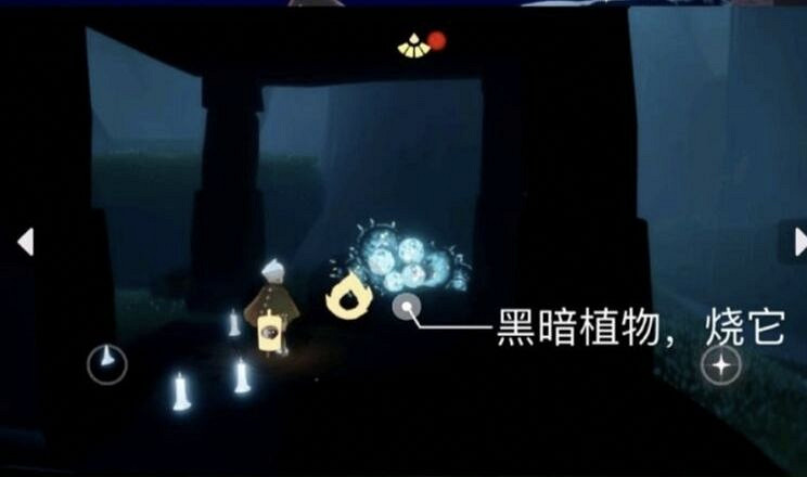 《光遇》1.31任務攻略 1月31日每日任務怎麽做2022 《光遇》1.31任務攻略 1月31日每日任務怎麽做2022