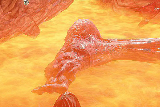 足控狂喜！《艾爾登法環》討論區角色足部指南分享