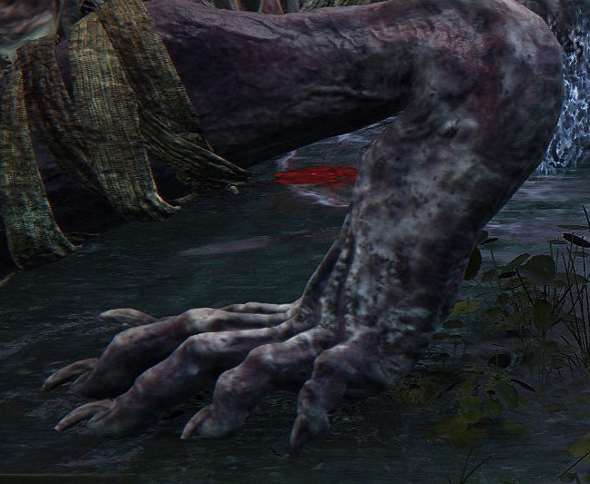 足控狂喜！《艾爾登法環》討論區角色足部指南分享