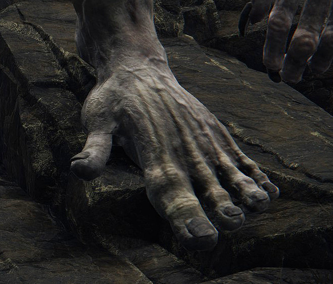 足控狂喜！《艾爾登法環》討論區角色足部指南分享