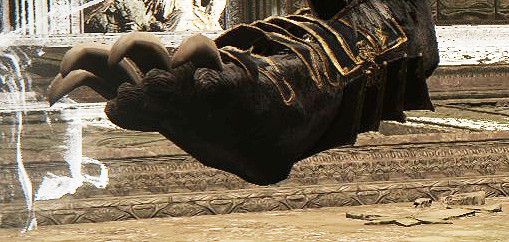 足控狂喜！《艾爾登法環》討論區角色足部指南分享