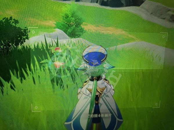 《原神》蒙德特產在哪？蒙德特產照片收集攻略分享