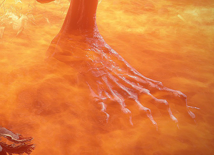 足控狂喜！《艾爾登法環》討論區角色足部指南分享