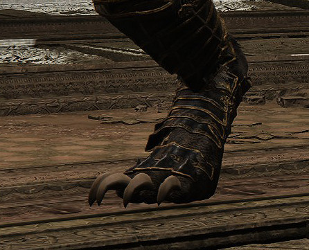 足控狂喜！《艾爾登法環》討論區角色足部指南分享